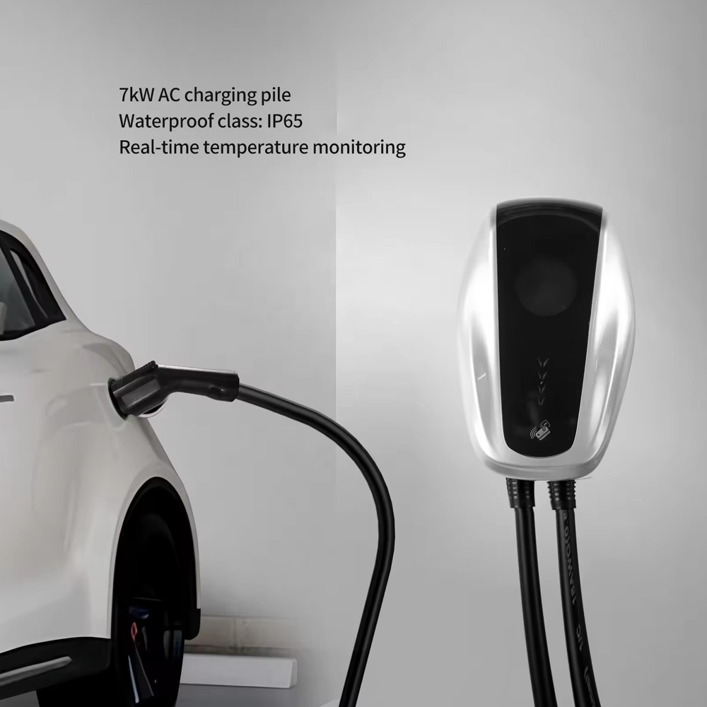 Зарядное устройство для электр – обзор и цена Ev Charger